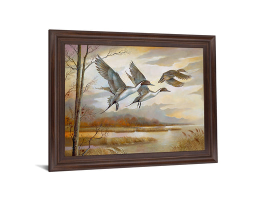 Soaring Pintails - 28" x 34" Framed Wall Art - Beige