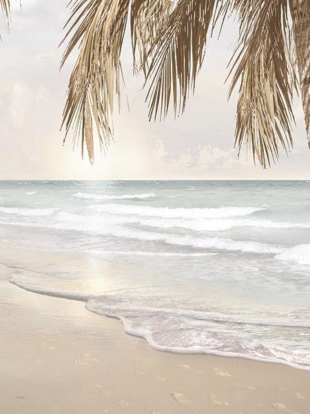 Coastal Dreams Iv By Amber Sterling (Framed) - Beige
