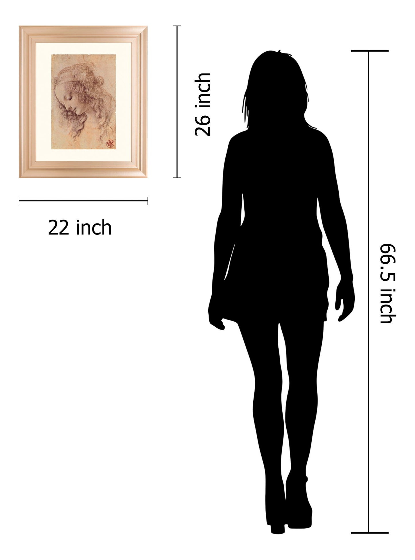 Testa Di Donna Di Profilo By Leonardo Da Vinci - Framed Print Wall Art - Light Brown