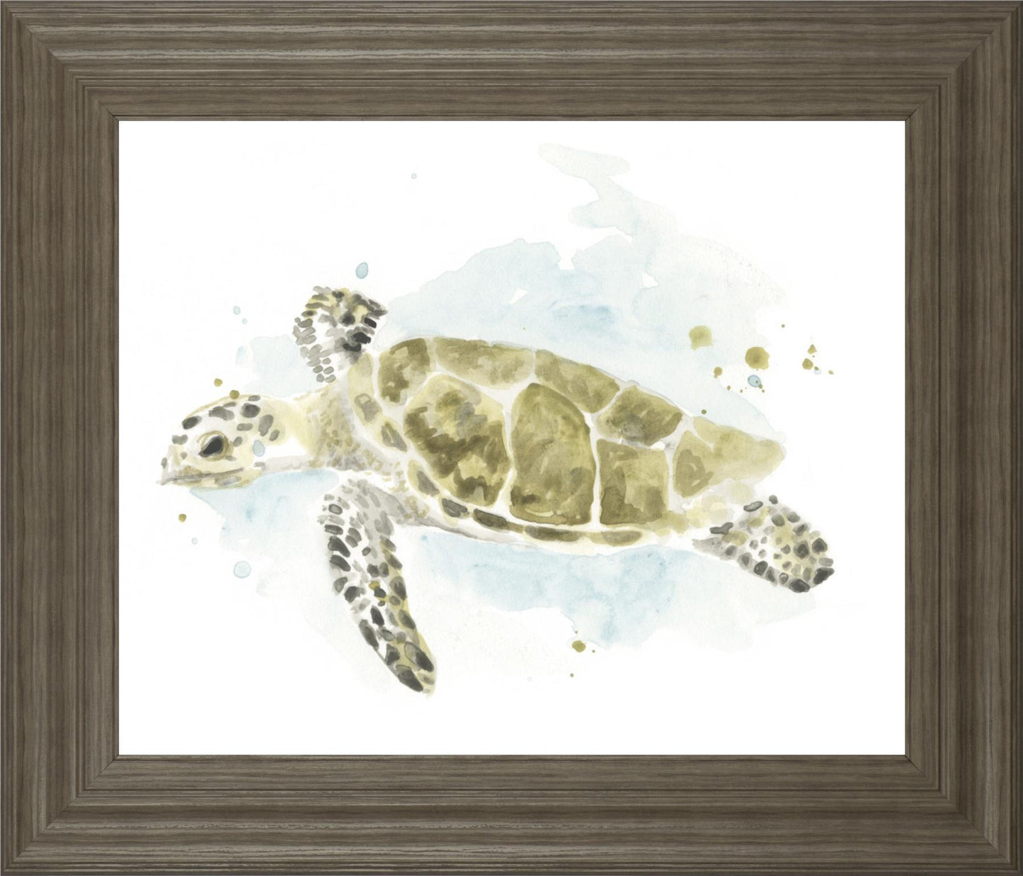 22x26 Watercolor Sea Turtle Study II By June Erica Vess - Beige