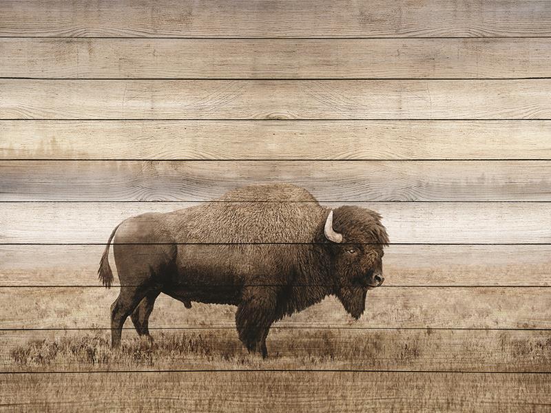 Rustic Bison By Amber Sterling (Framed) - Light Brown