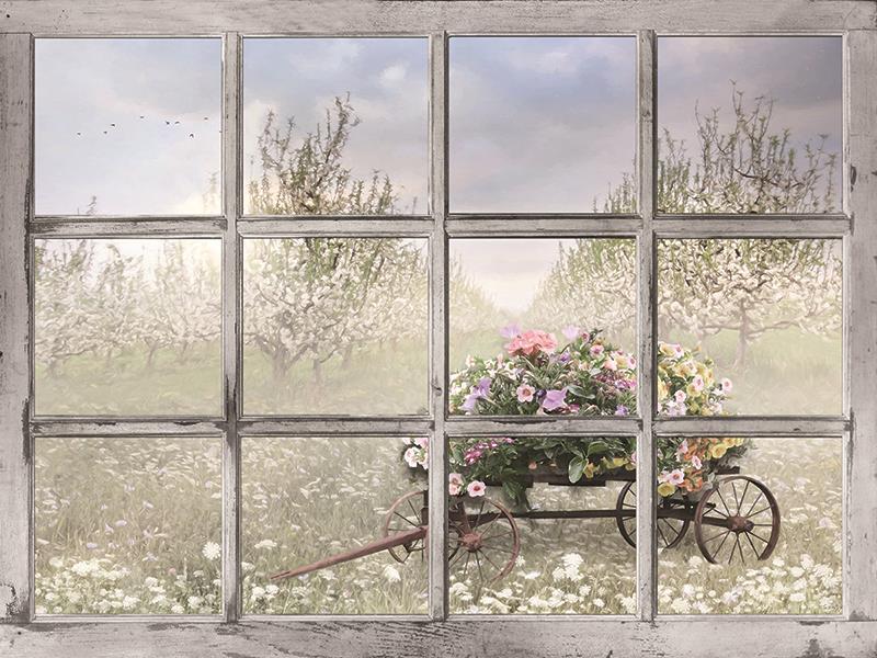 Colorful Spring Blossoms By Lori Deiter (Framed) - Gray