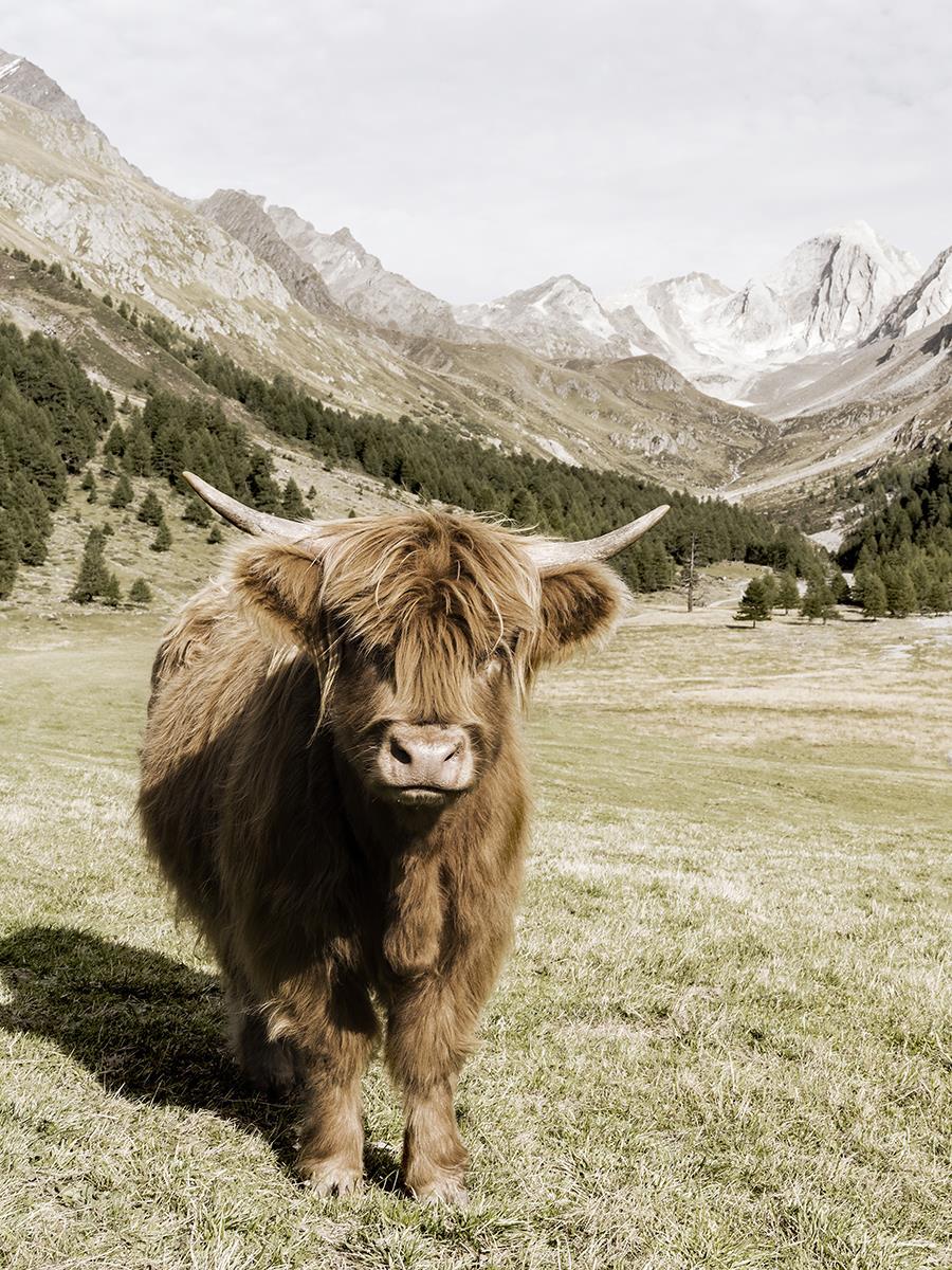 Oetztal Alps By Danita Delimont (Framed) - Dark Green