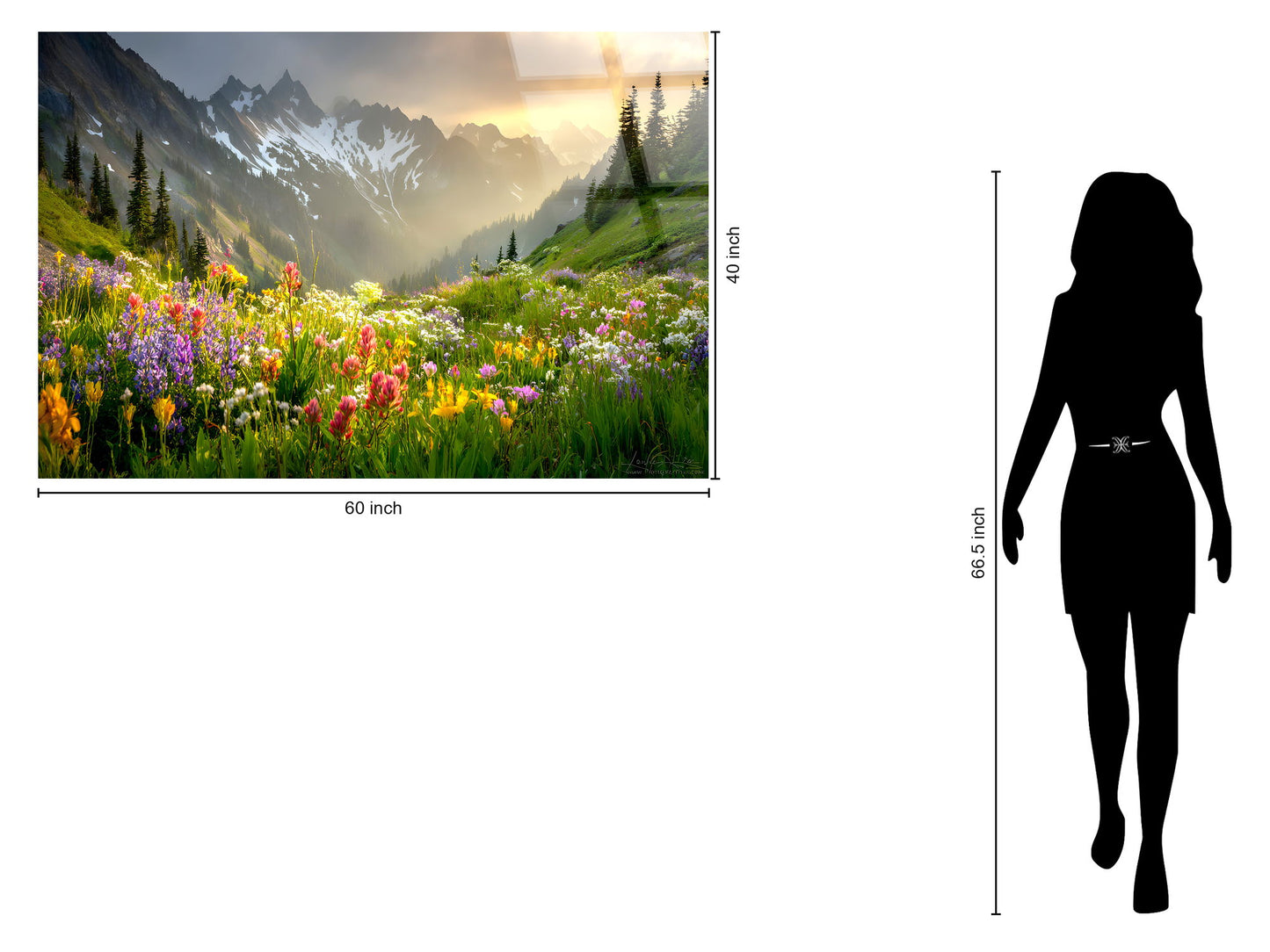 Alpine Wildflower Misty Tempered Glass - Green / Gold