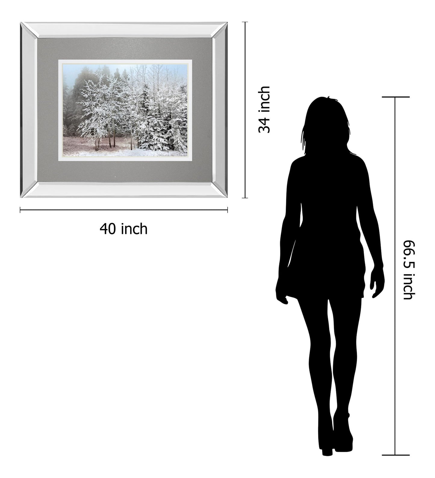 Frosty Morning By Mike Jone - Mirror Framed Print Wall Art - Gray