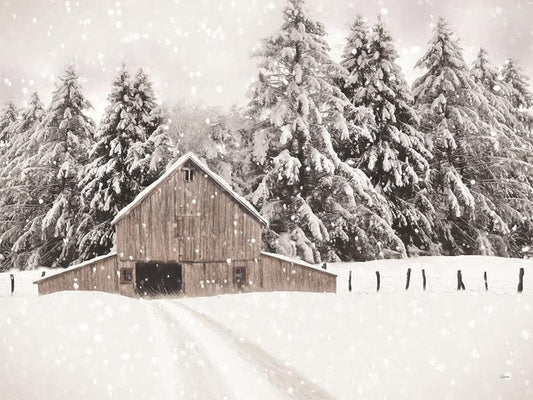 North Country By Lori Deiter (Framed Small) - White