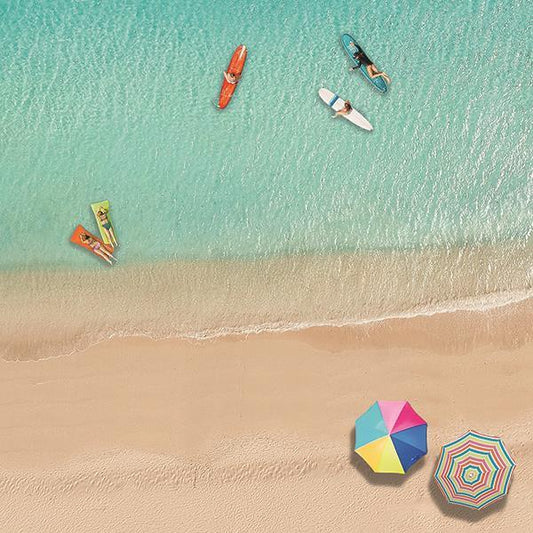 Fun In The Sun By Katrina Craven (Framed Small) - Light Blue