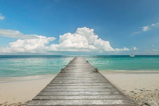 Infinity Pier By Danita Delimont (Framed) - Blue