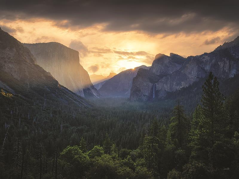 Yosemite Dreams By Martin Podt Photography (Framed Small) - Dark Green