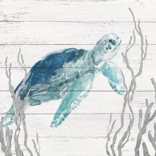 Aqua Turtle I By Carol Robinson - Light Blue