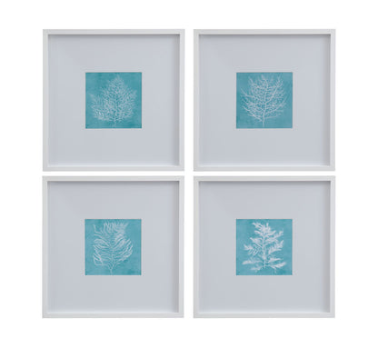 White Coral On Blue - II Framed Print - Blue / White