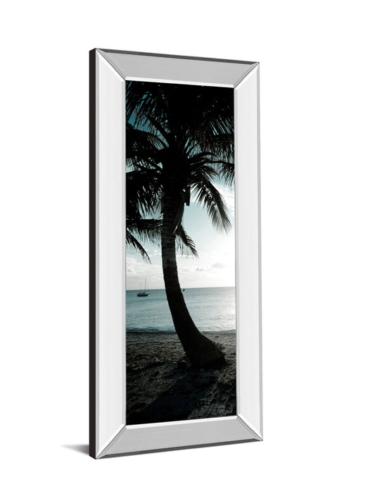 Cool Bimini Palms Il By Susan Bryant - Mirror Framed Print Wall Art - Black