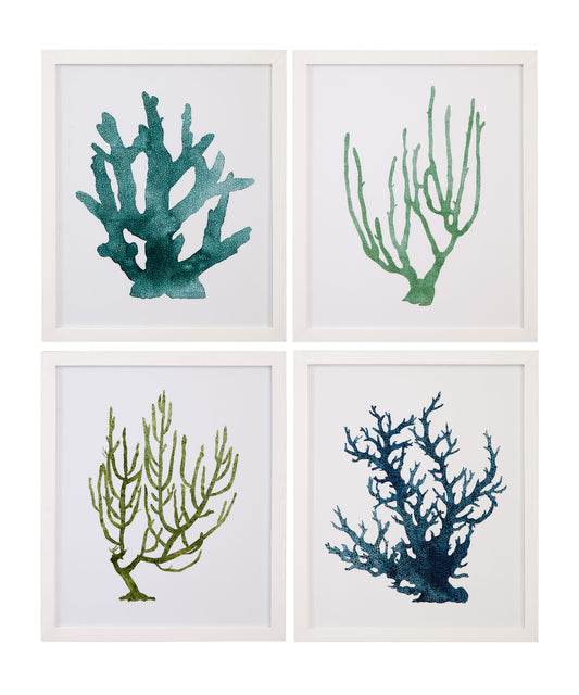 Coral Souvenirs - Framed Print (Set of 4) - Green / Blue