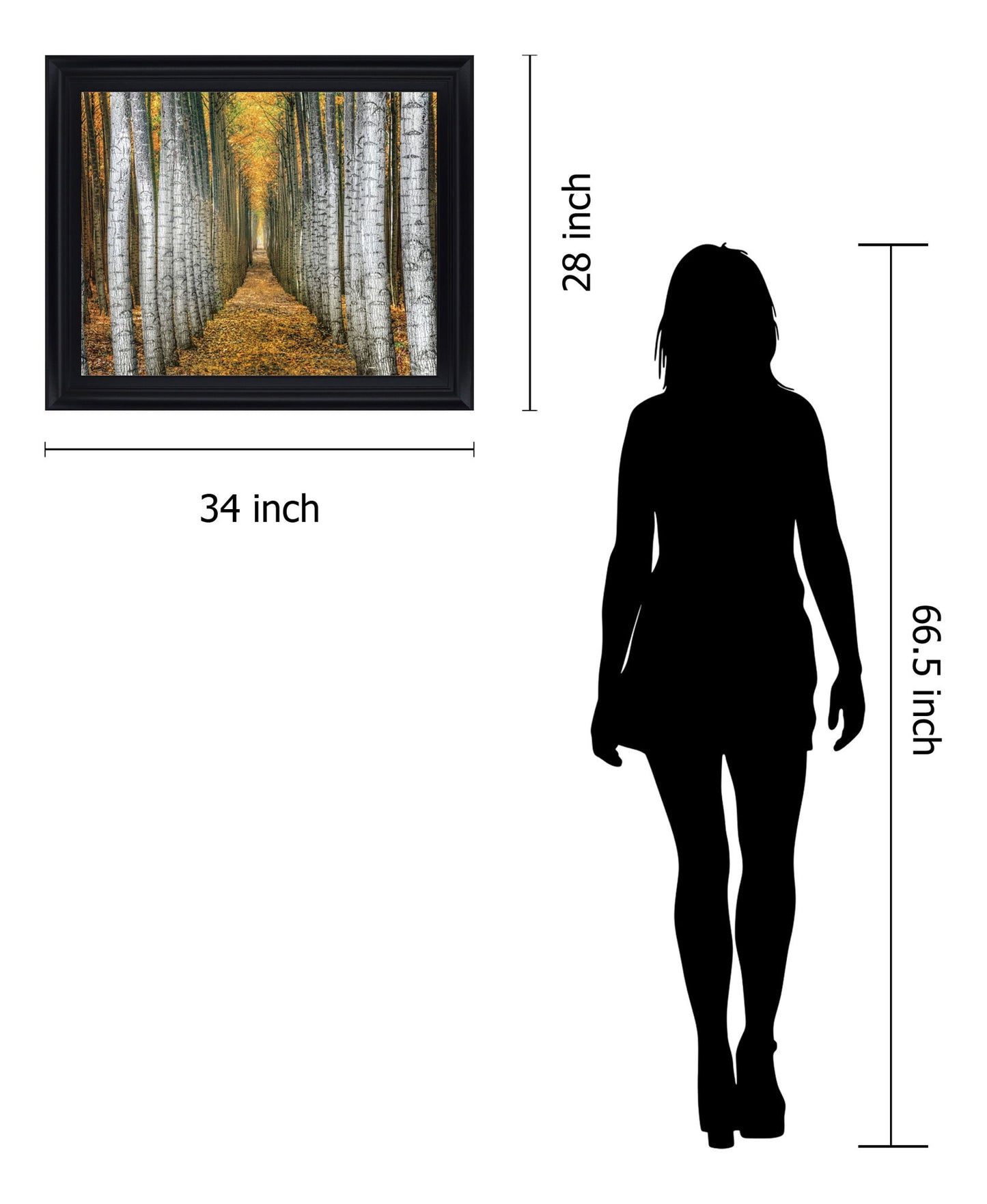 Golden Birch Passage - 28" x 34" Framed Wall Art - Yellow