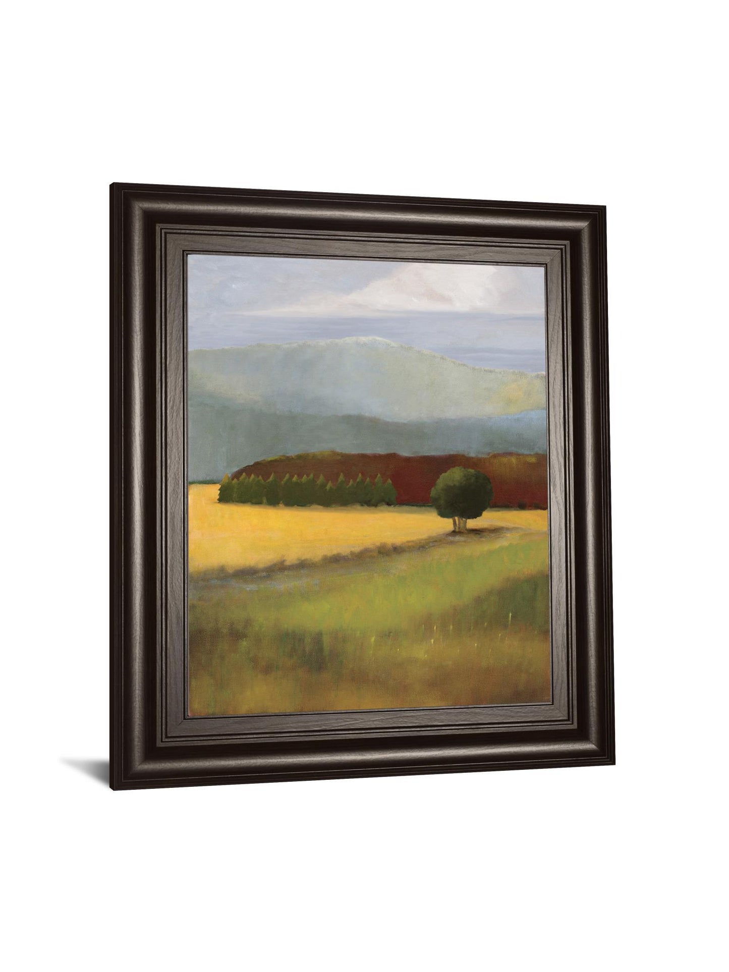 Field Of Gold By Judith D'agostino - Framed Print Wall Art - Green