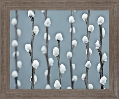 Winter Willow - 28" x 34" Framed Wall Art - Gray