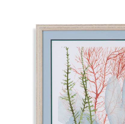 Seaweed Flow - Framed Print (Set of 2) - Light Blue