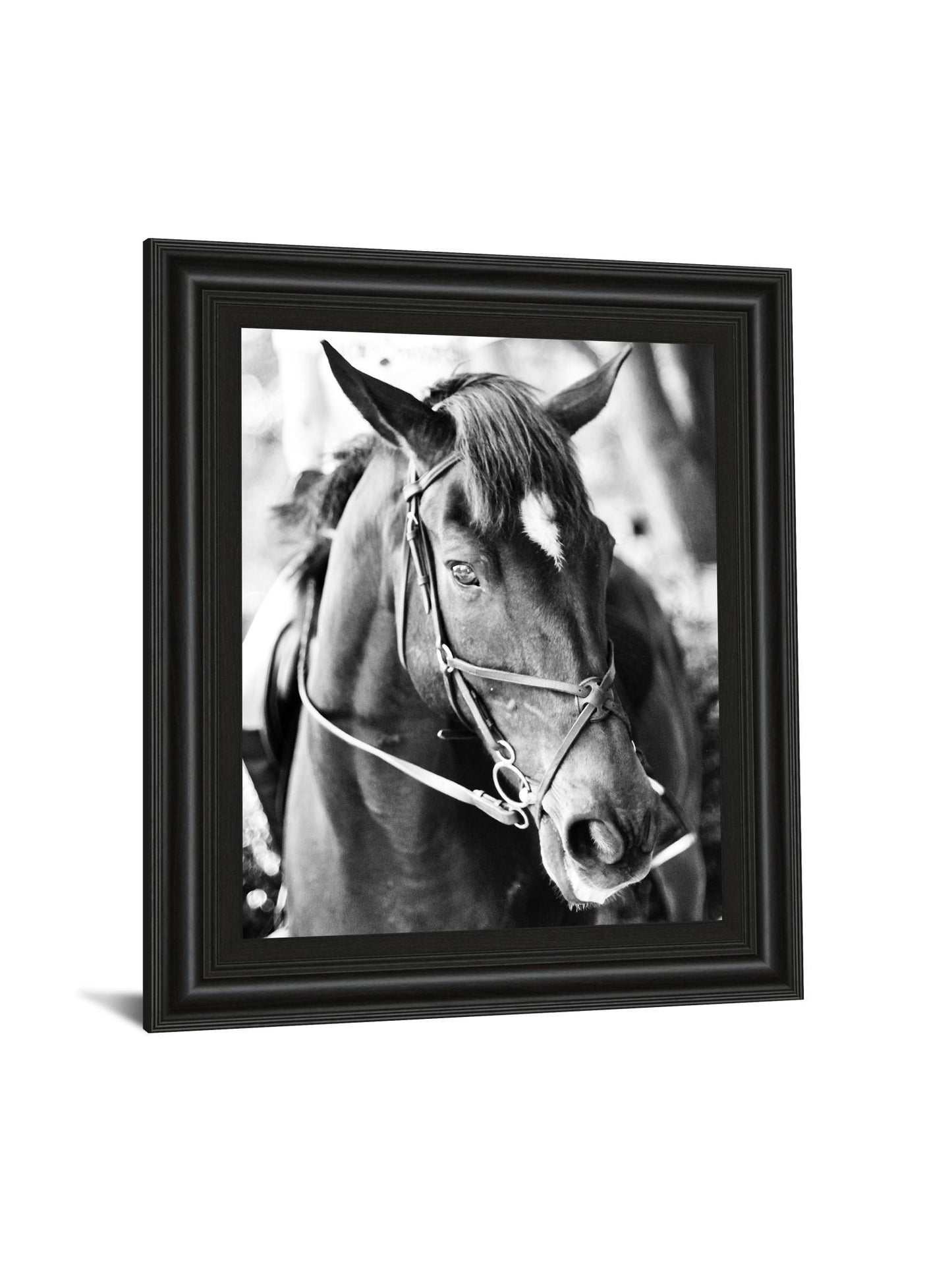 Derby I By Susan Bryant - Framed Print Wall Art - Black