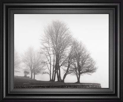 Fog And Trees At Dusk By Lsh - Framed Print Wall Art - Dark Gray