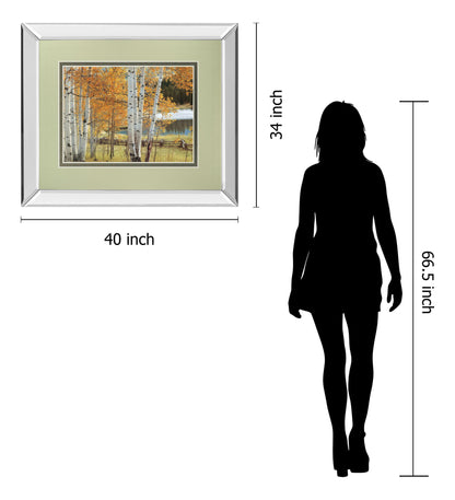 Birch Beauty By Mike Jones - Mirror Framed Print Wall Art - Light Brown