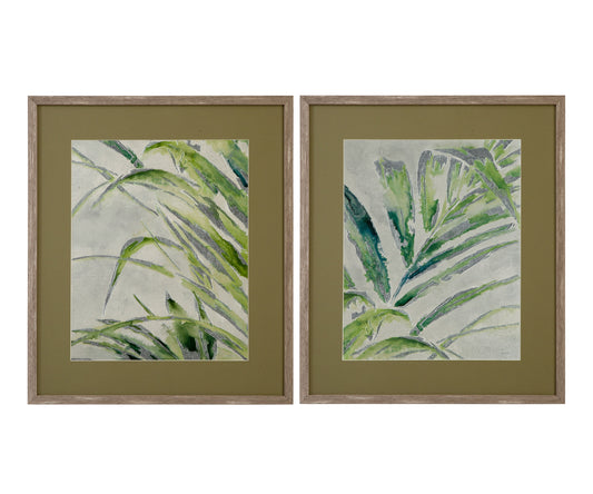 Green Palm - Framed Print (Set of 2) - Green