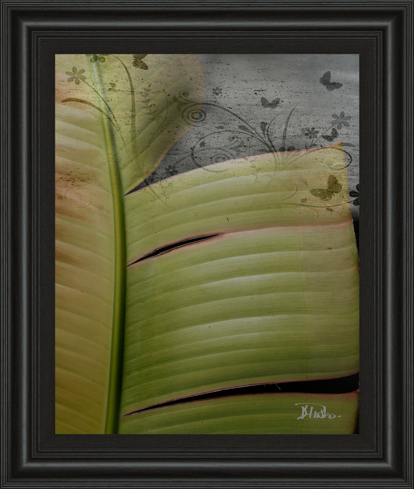 Butterfly Palm Il By Patricia Pinto - Framed Print Wall Art - Green