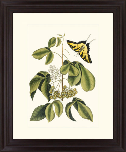 Butterfly Grove - 28" x 34" Framed Wall Art - Green