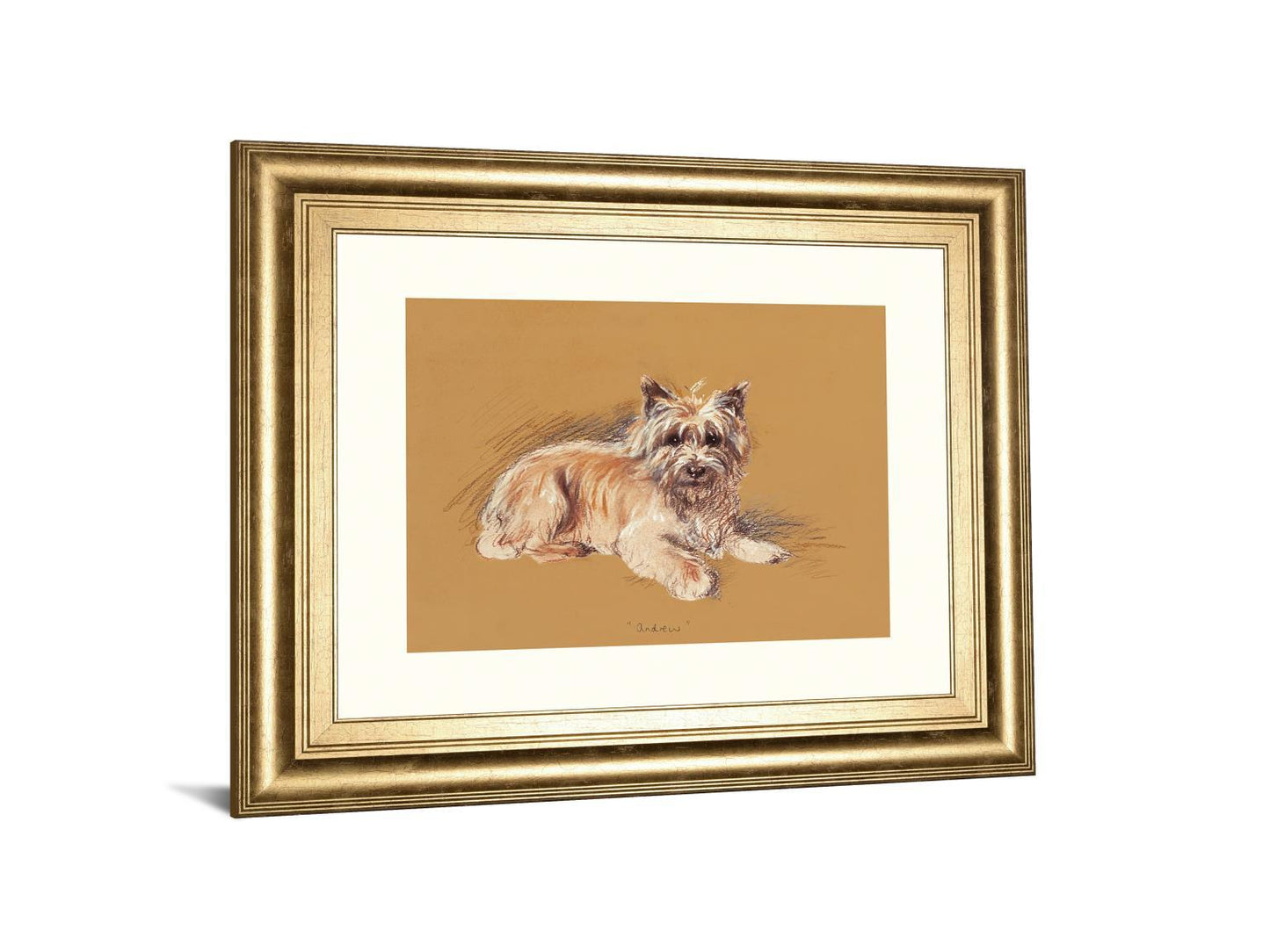 Andrew By Mac - Framed Print Wall Art - Beige