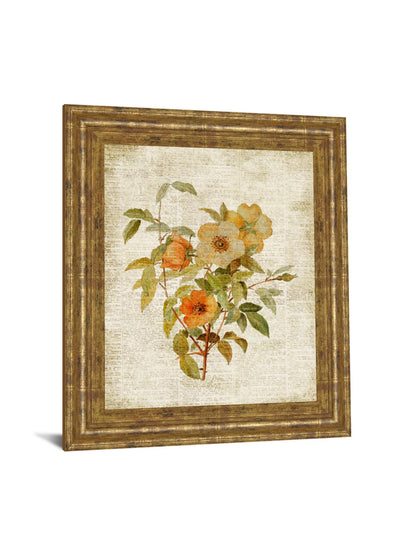 Roses On Newsprint I By Lanie Loreth - Framed Print Wall Art - Beige