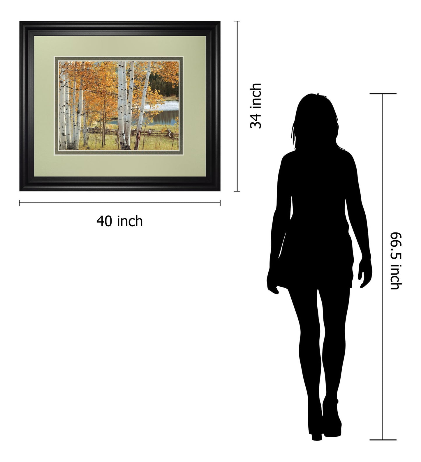 Birch Beauty By Mike Jones - Framed Print Wall Art - Light Brown