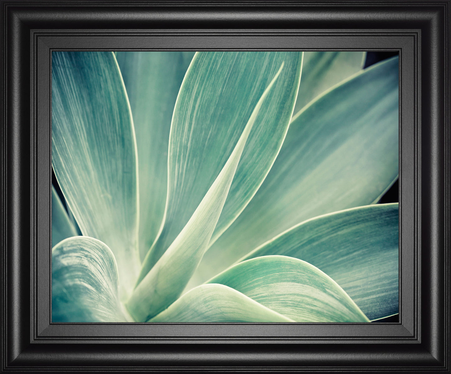 Fresnillo By Irene Suchocki - Framed Print Wall Art - Green