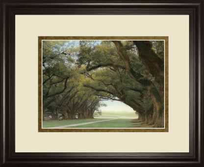 Alley Of The Oaks By William Guion - Framed Print Wall Art - Green