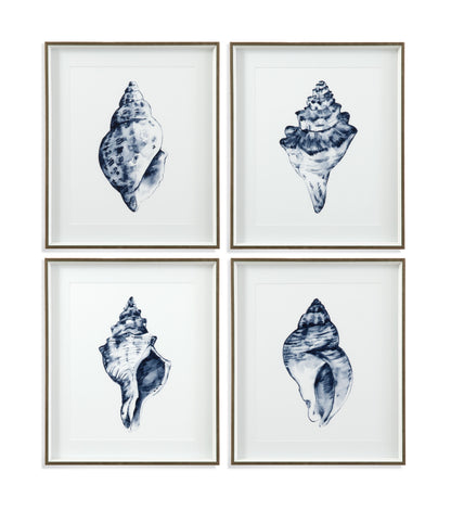 Quiet Conchin Indigo - Framed Print (Set of 4) - Blue