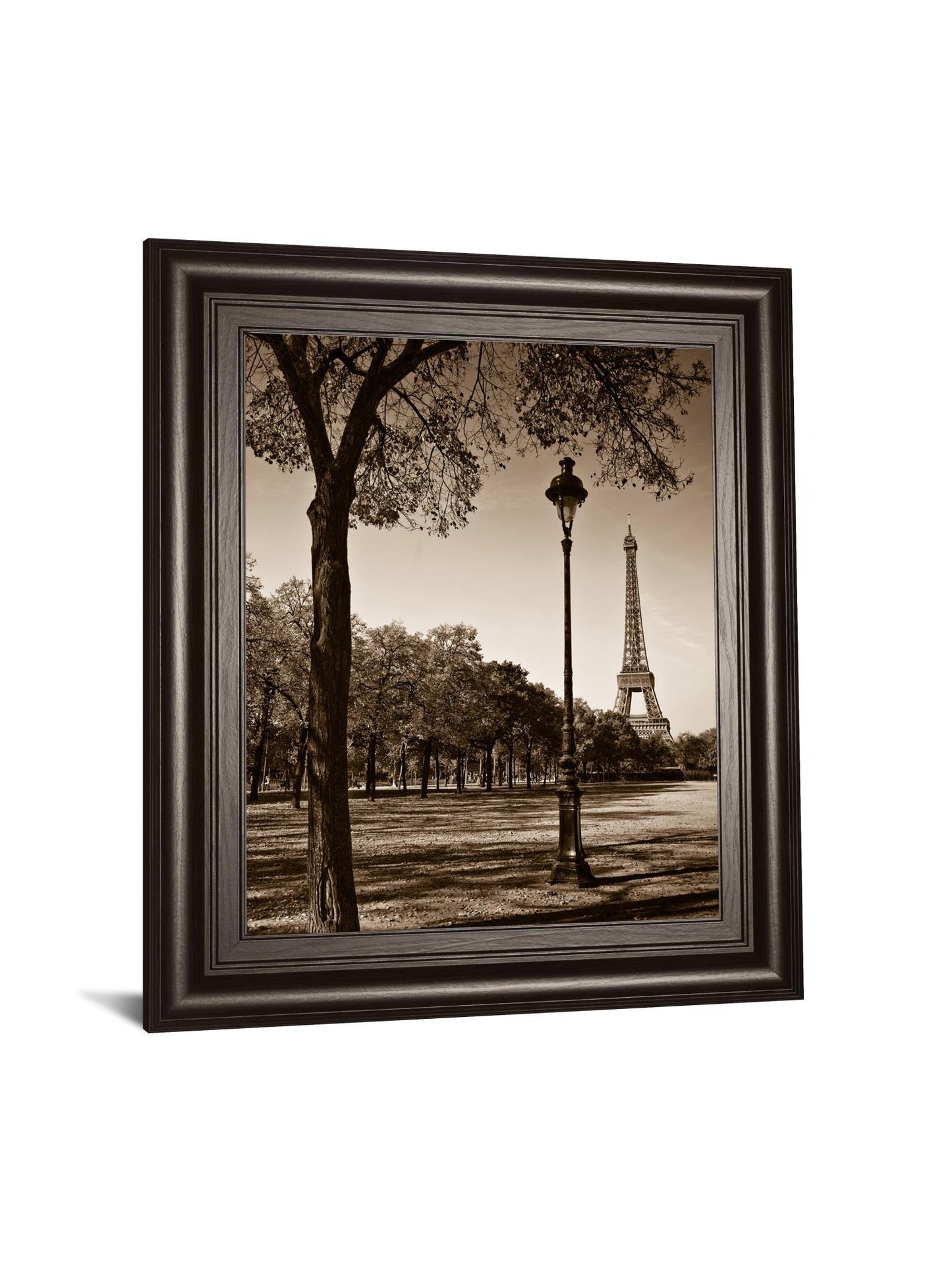 An Afternoon Stroll-pari By Maihara - Wall Art - Black