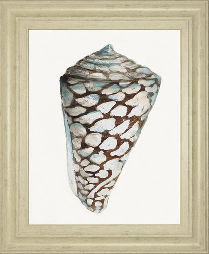 Modern Shell With Teal Il By Patricia Pinto - Framed Print Wall Art - White