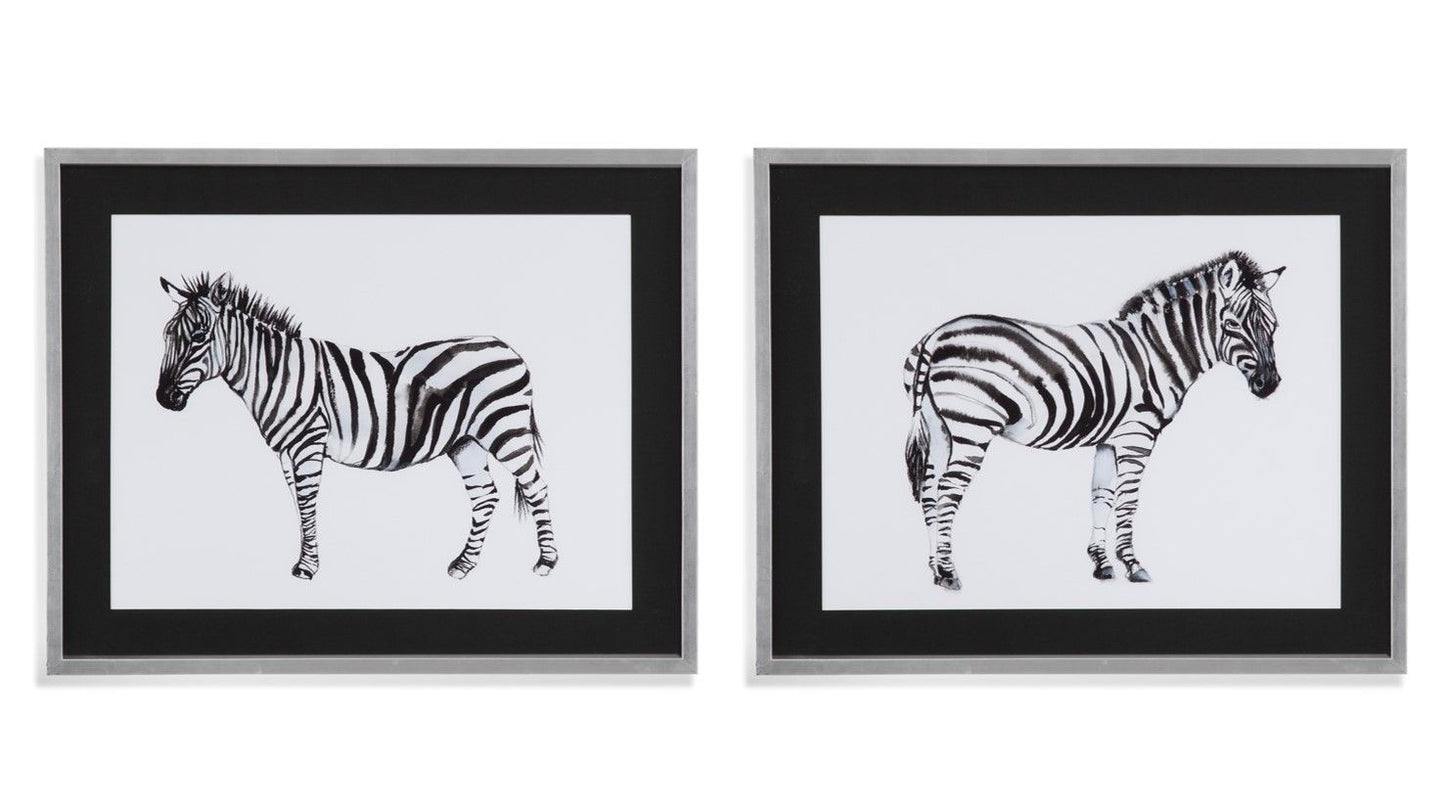 Standing Zebra II - Framed Print - Black