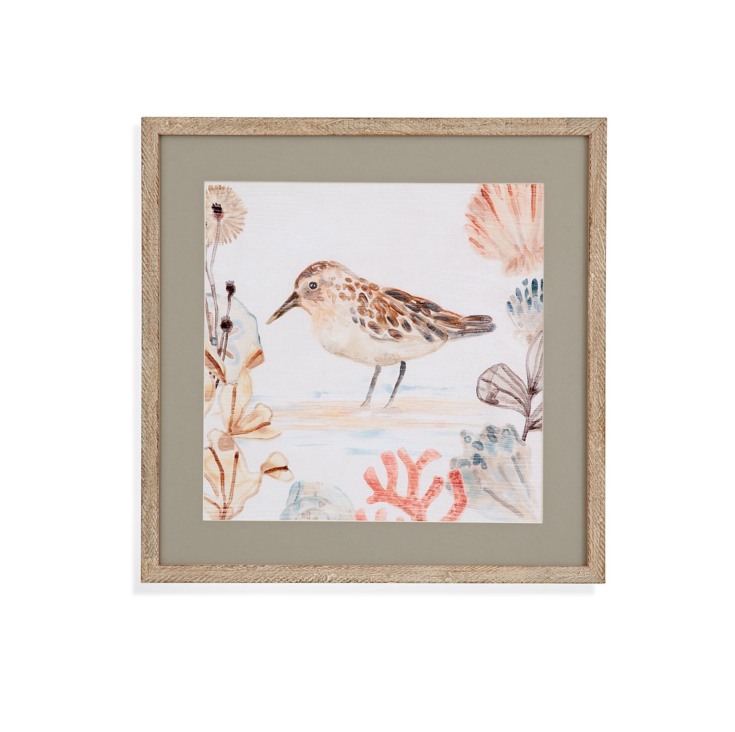 Shell Peppers IV - Framed Print - White