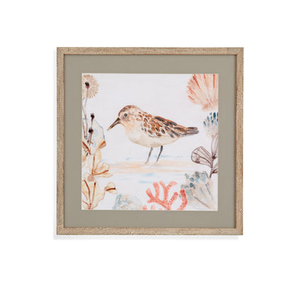 Shell Peppers IV - Framed Print - White