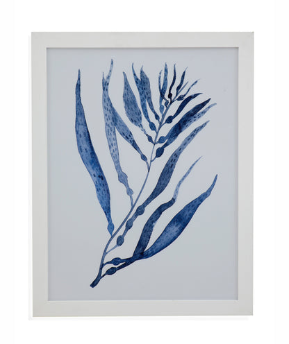 Seaweed Under Water III - Framed Print - Blue